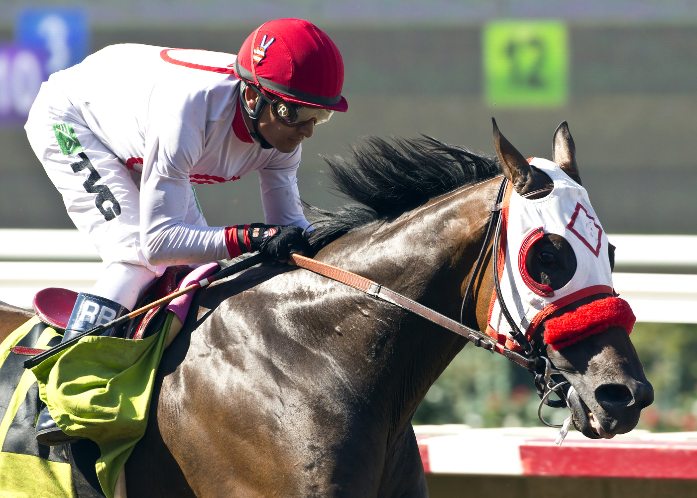 Big Macher wins the Pirate's Bounty Stakes