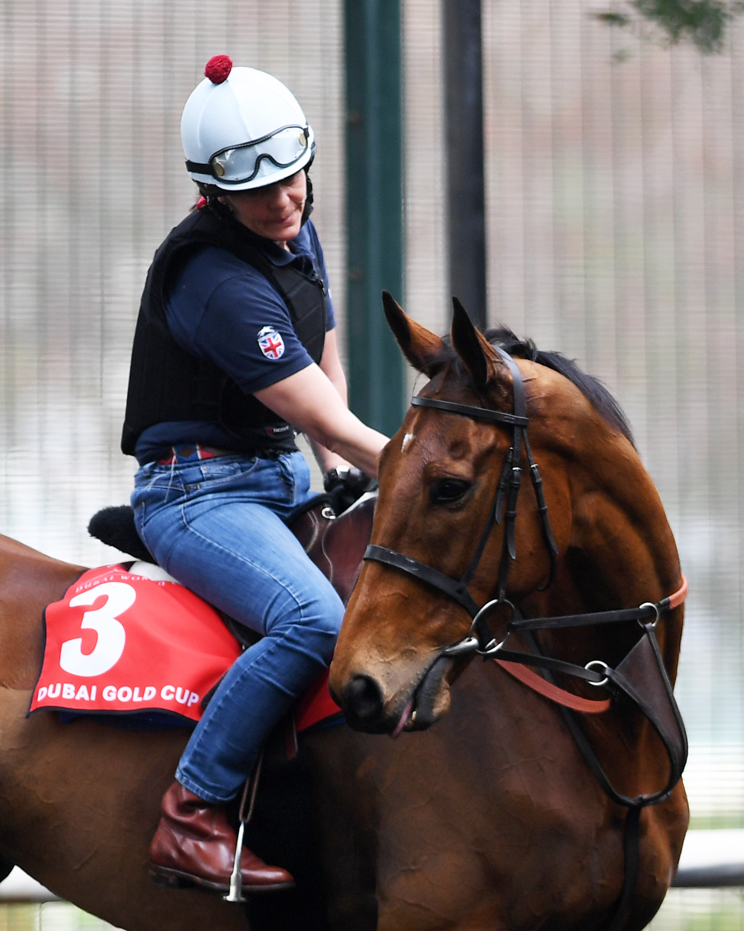 Big Orange at Meydan Racecourse