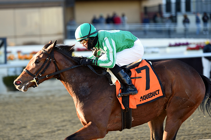 Big Q wins the 2019 Key Cents Stakes at Aqueduct Racetrack