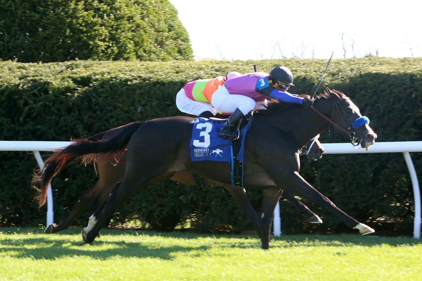 Big Score wins the Transylvania Stakes