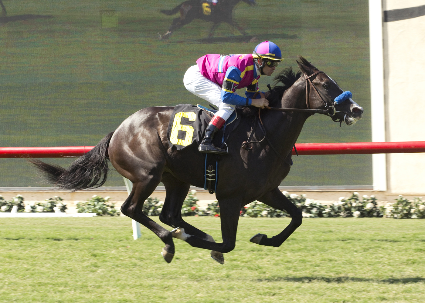 Big Score wins a maiden race at Del Mar