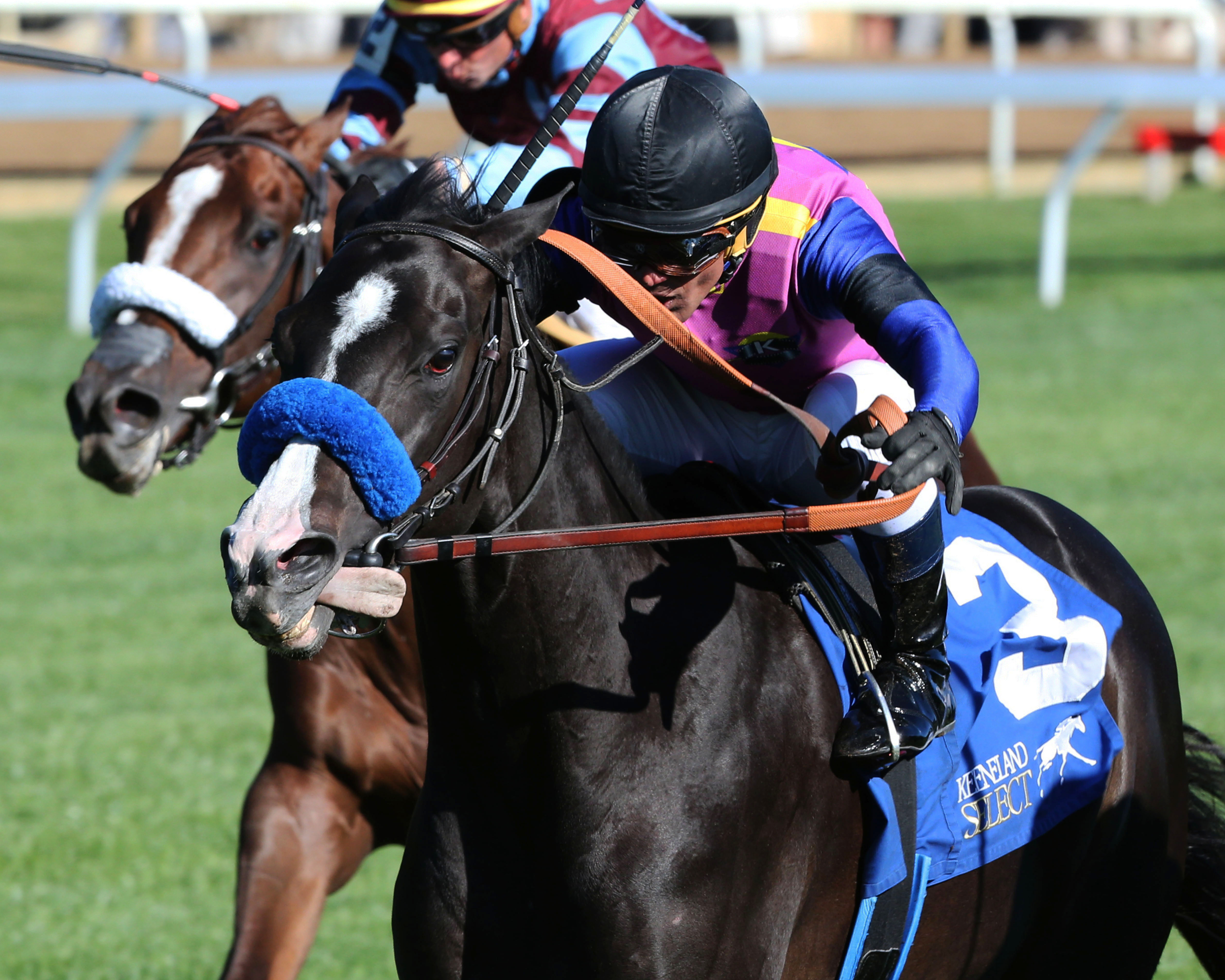 Big Score wins the Transylvania Stakes