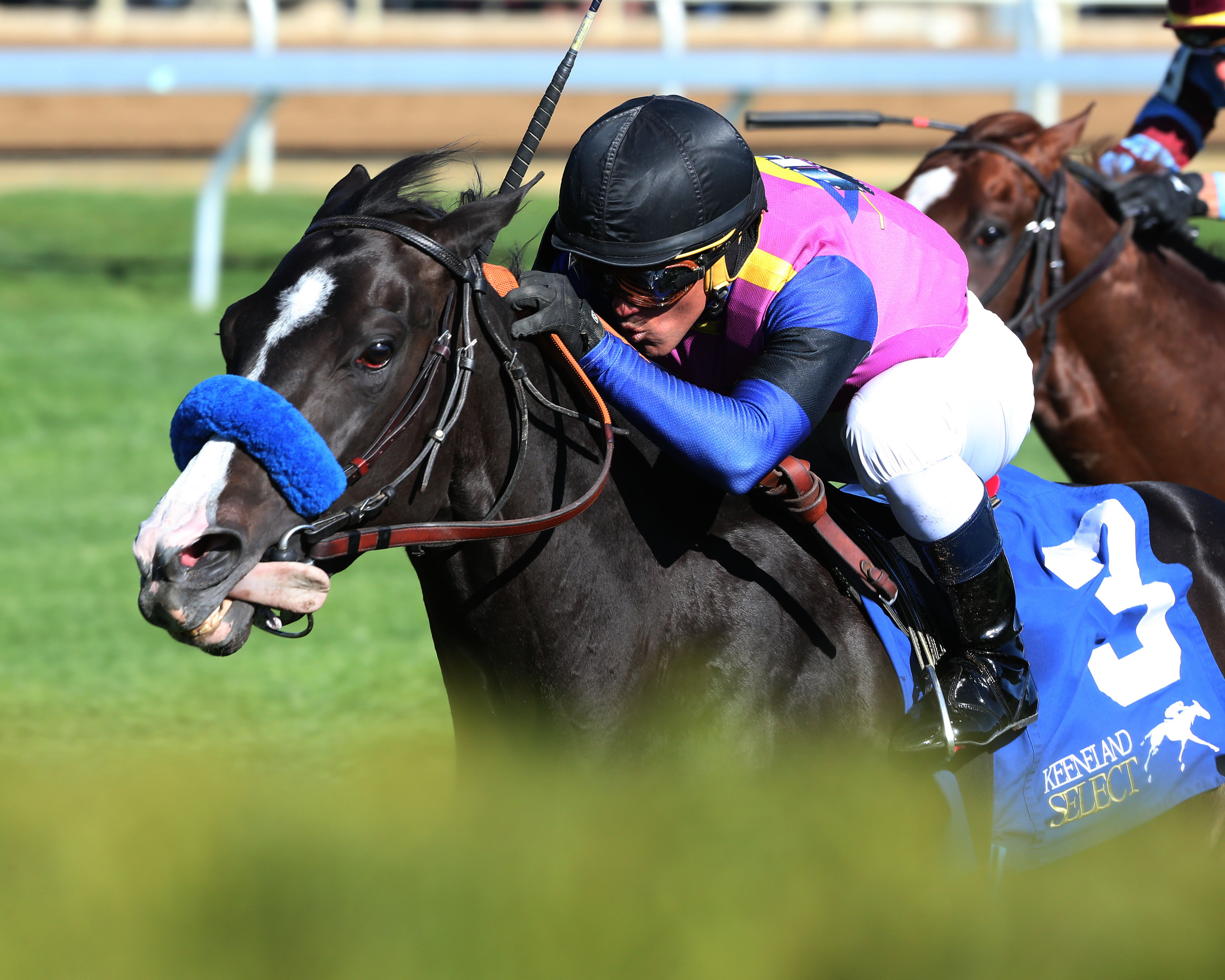Big Score wins the Transylvania Stakes