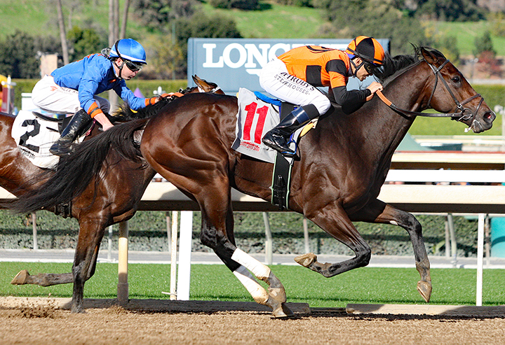 Big Scott Daddy wins a Dec. 26 maiden race
