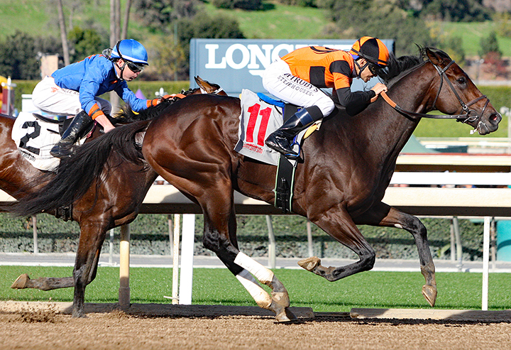 Big Scott Daddy wins a Dec. 26 maiden race