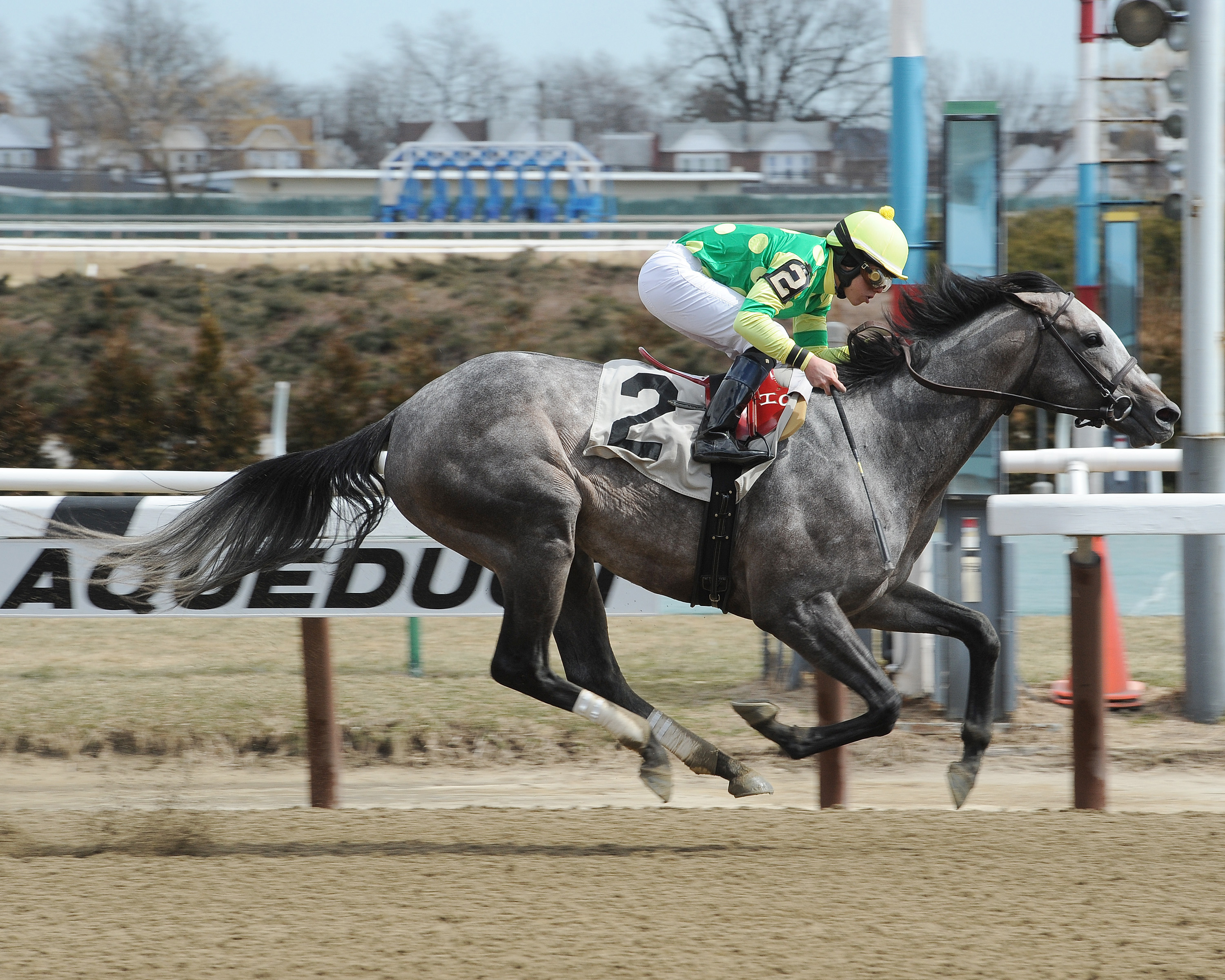 Big Screen, optional claimer at Aqueduct
