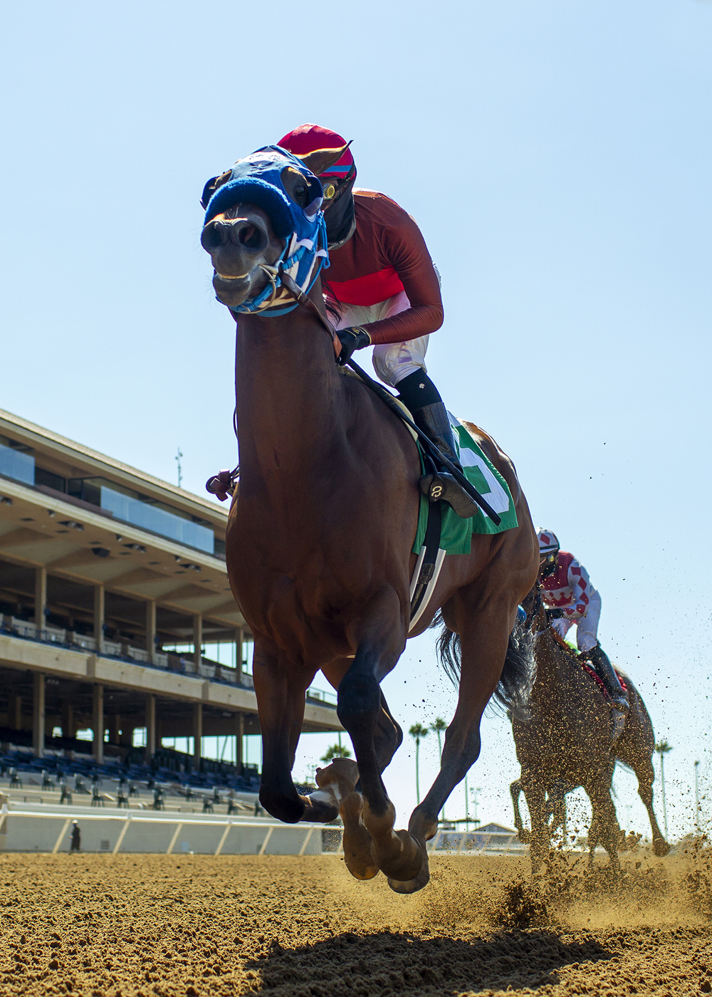 Big Sweep wins Fleet Treat