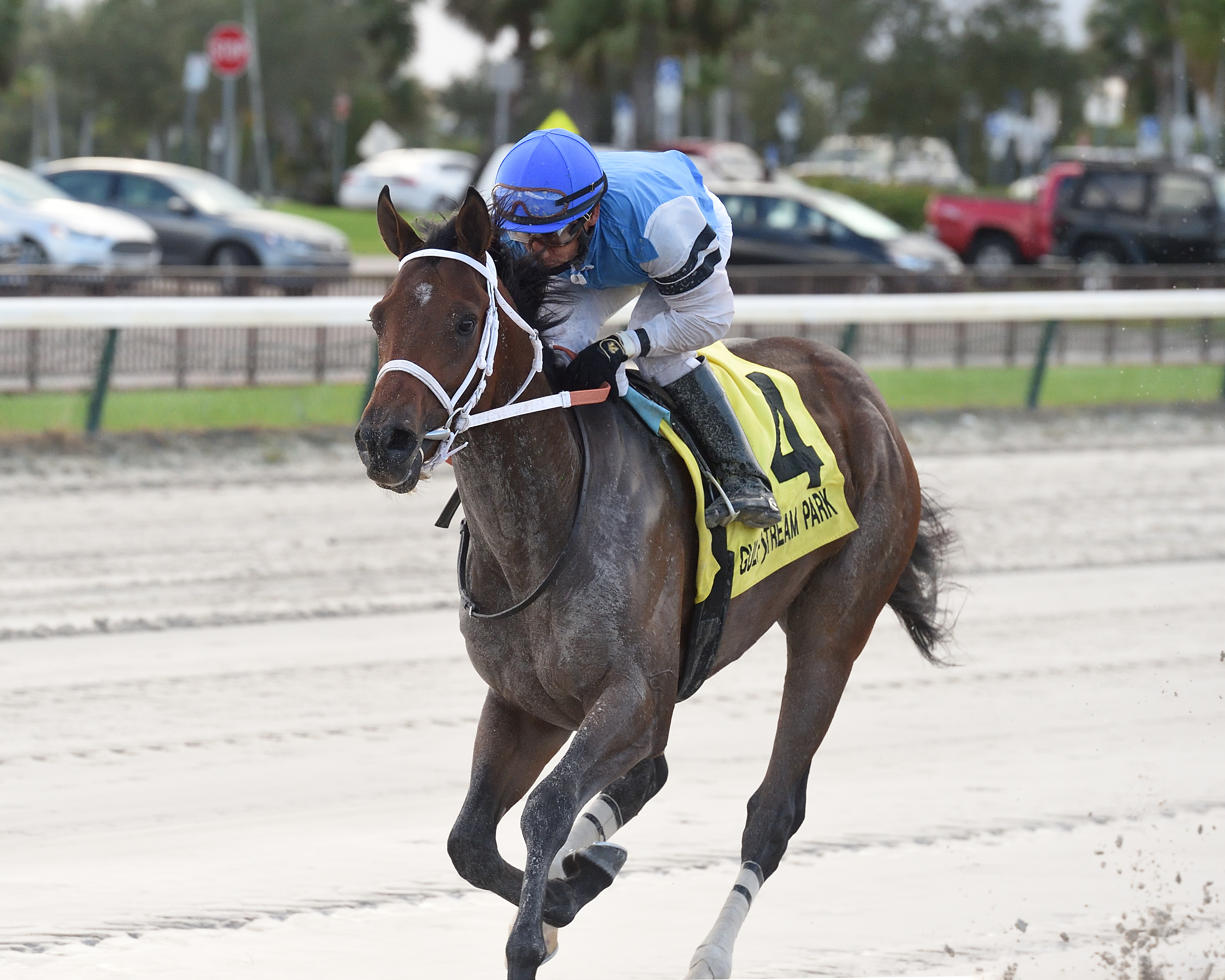 Big Thorn wins Juvenile Fillies Turf 11-22-2020
