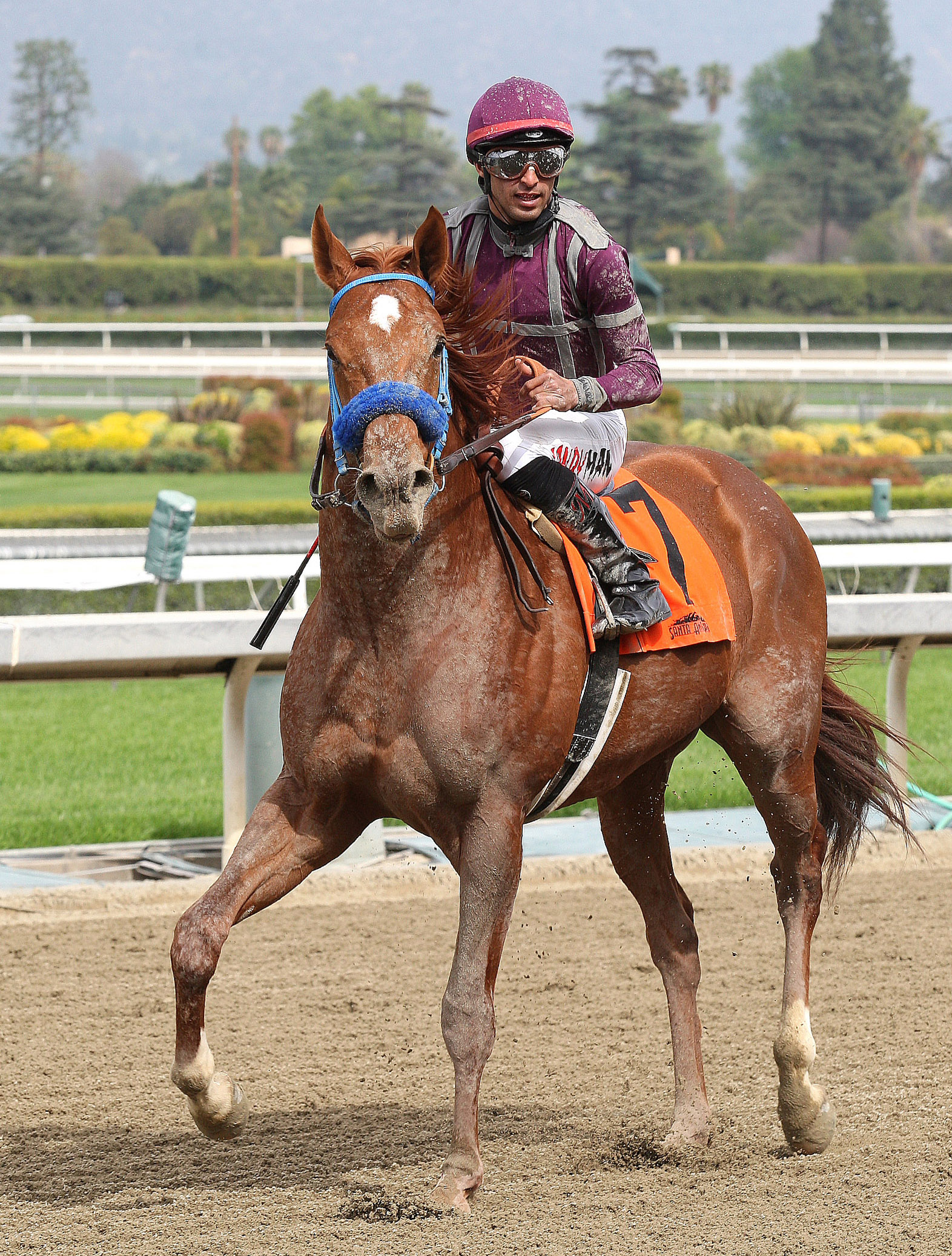 Big Tire wins a maiden race