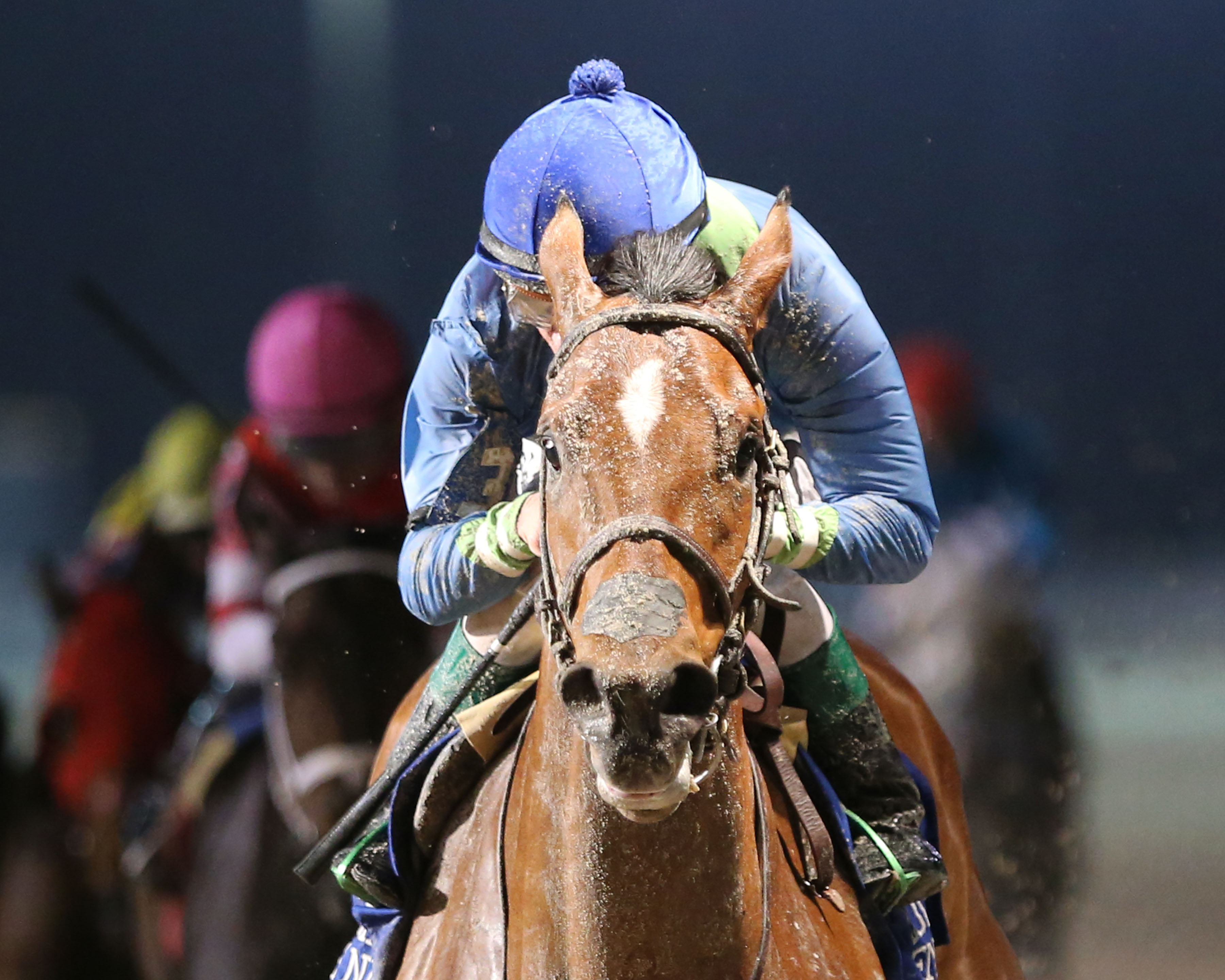 Big World wins the Louisiana-bred Premier Night Distaff