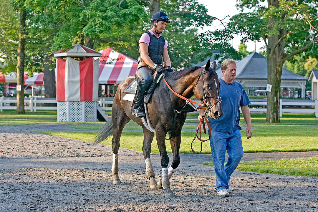 Big Drama with Celia and David Fawkes in 2010 at Saratoga