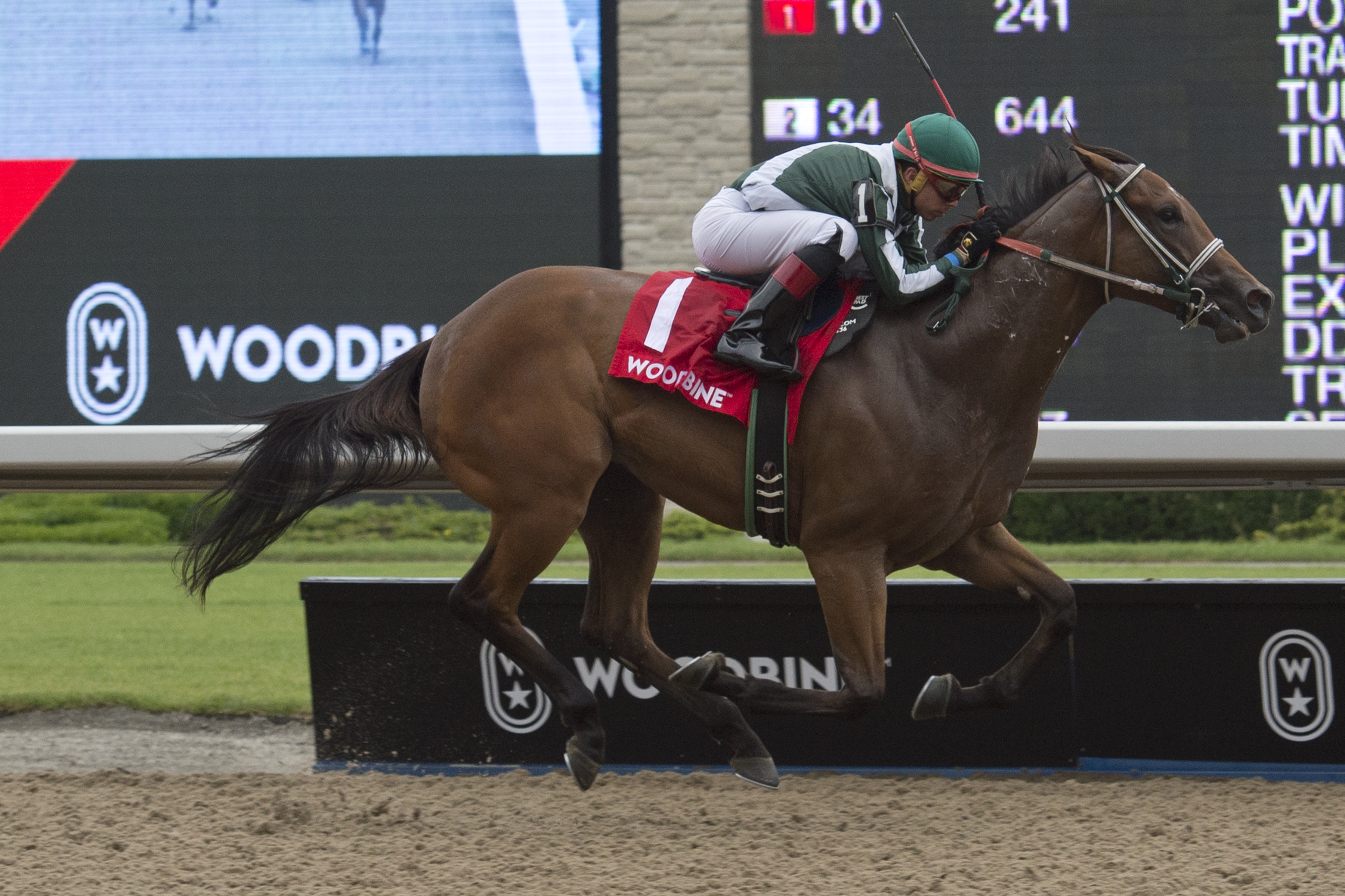 Big Drink of Water wins the 2018 Victoria Stakes