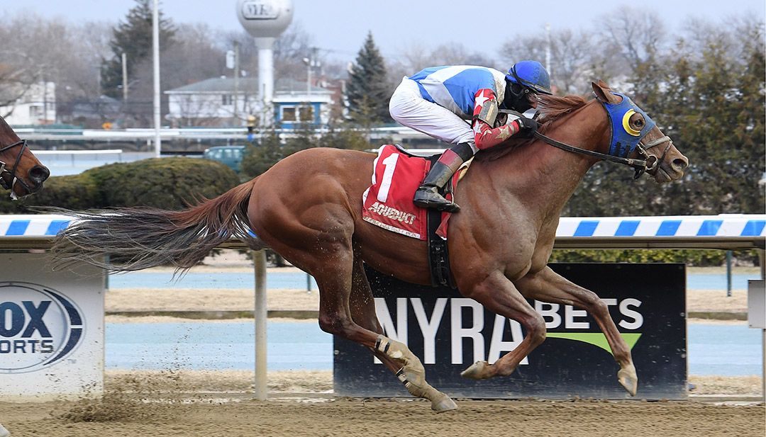 Big Engine wins a Feb. 19 optional claimer at Aqueduct