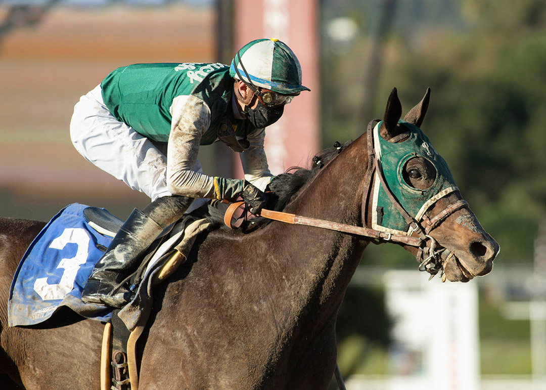 Big Fish wins the 2021 California Cup Derby at Santa Anita Park