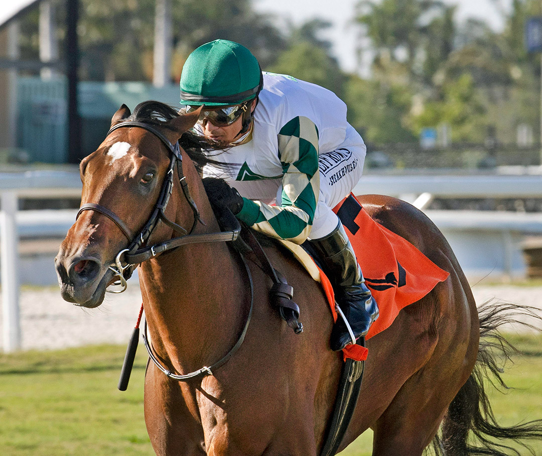 Big Invasion wins the 2022 Texas Glitter Stakes at Gulfstream Park