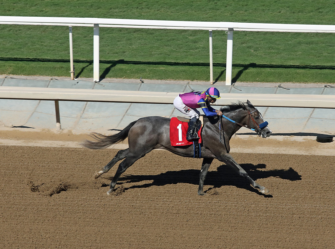 Big Novel wins an Oct. 2 maiden race at Santa Anita