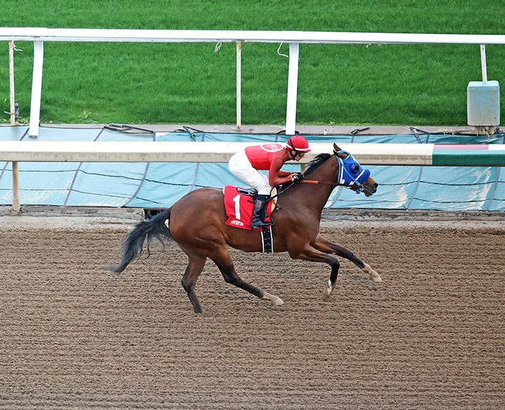 Big Sweep wins a March 14 maiden race at Santa Anita