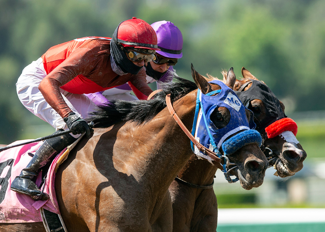 Big Sweep wins the 2020 Echo Eddie Stakes at Santa Anita
