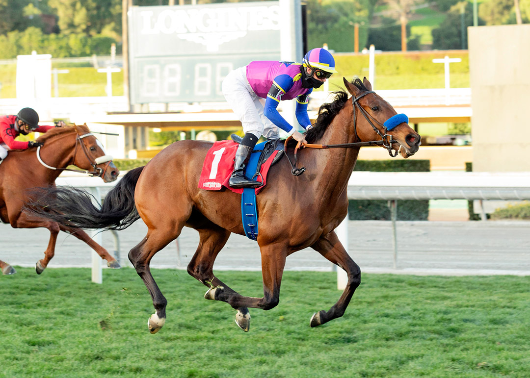 Big Talker wins a Feb. 14 maiden race at Santa Anita Park
