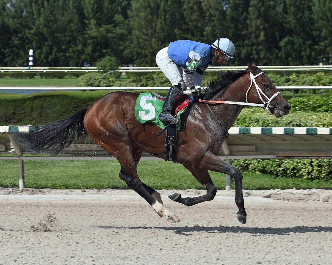 Big Thorn wins an Oct. 29 maiden race at Gulfstream Park West