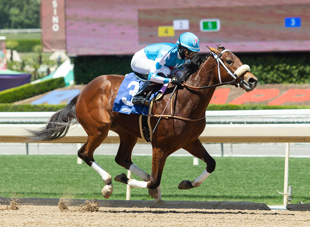 Big Treat wins an April 30 maiden race at Santa Anita Park