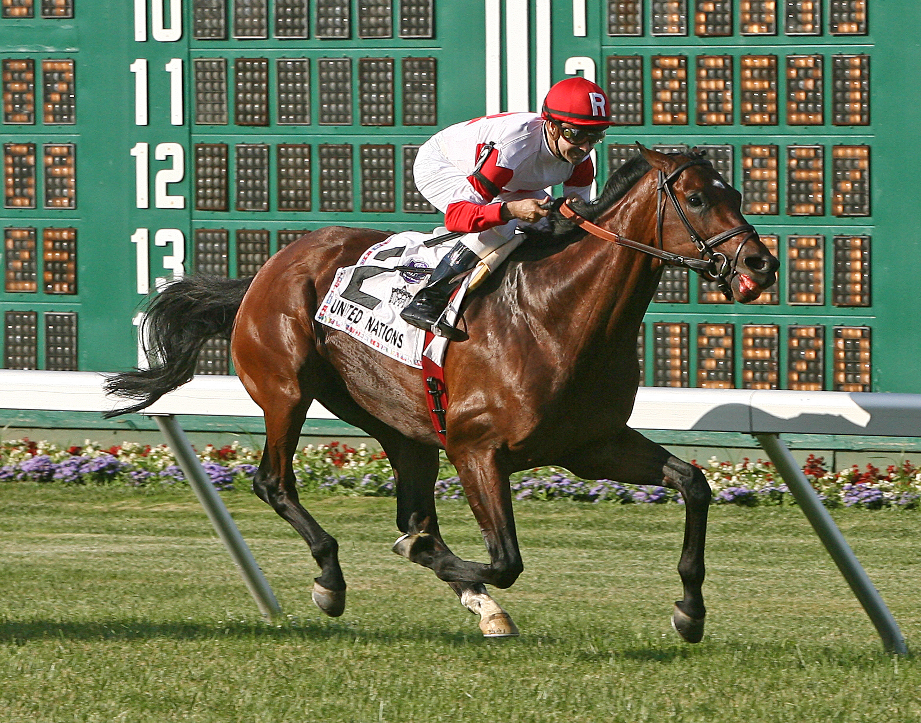 Big Blue Kitten/United Nations Stakes