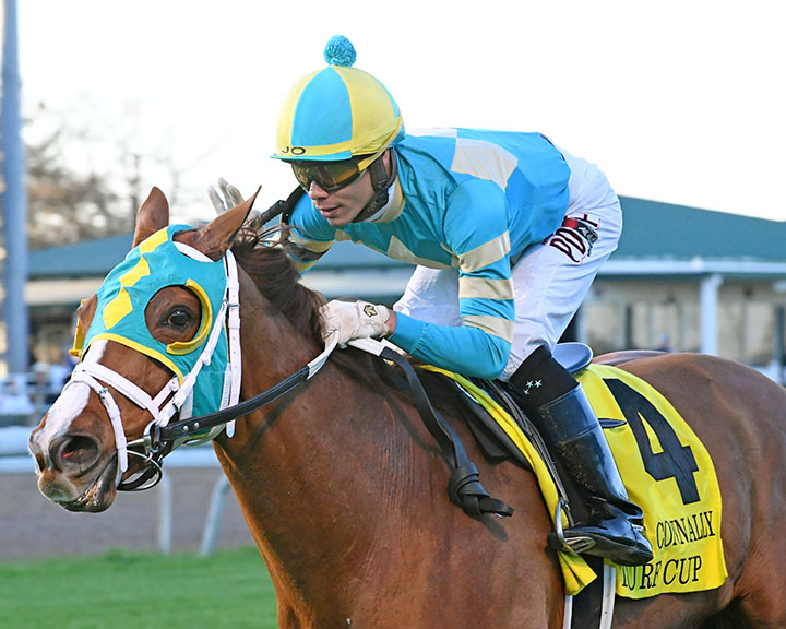 Bigger Picture wins the John B. Connally Turf Cup