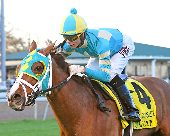 Weekend Warrior: Picks for Elkhorn Stakes, Charles Town Classic, Roar Stakes for April 20, 2019