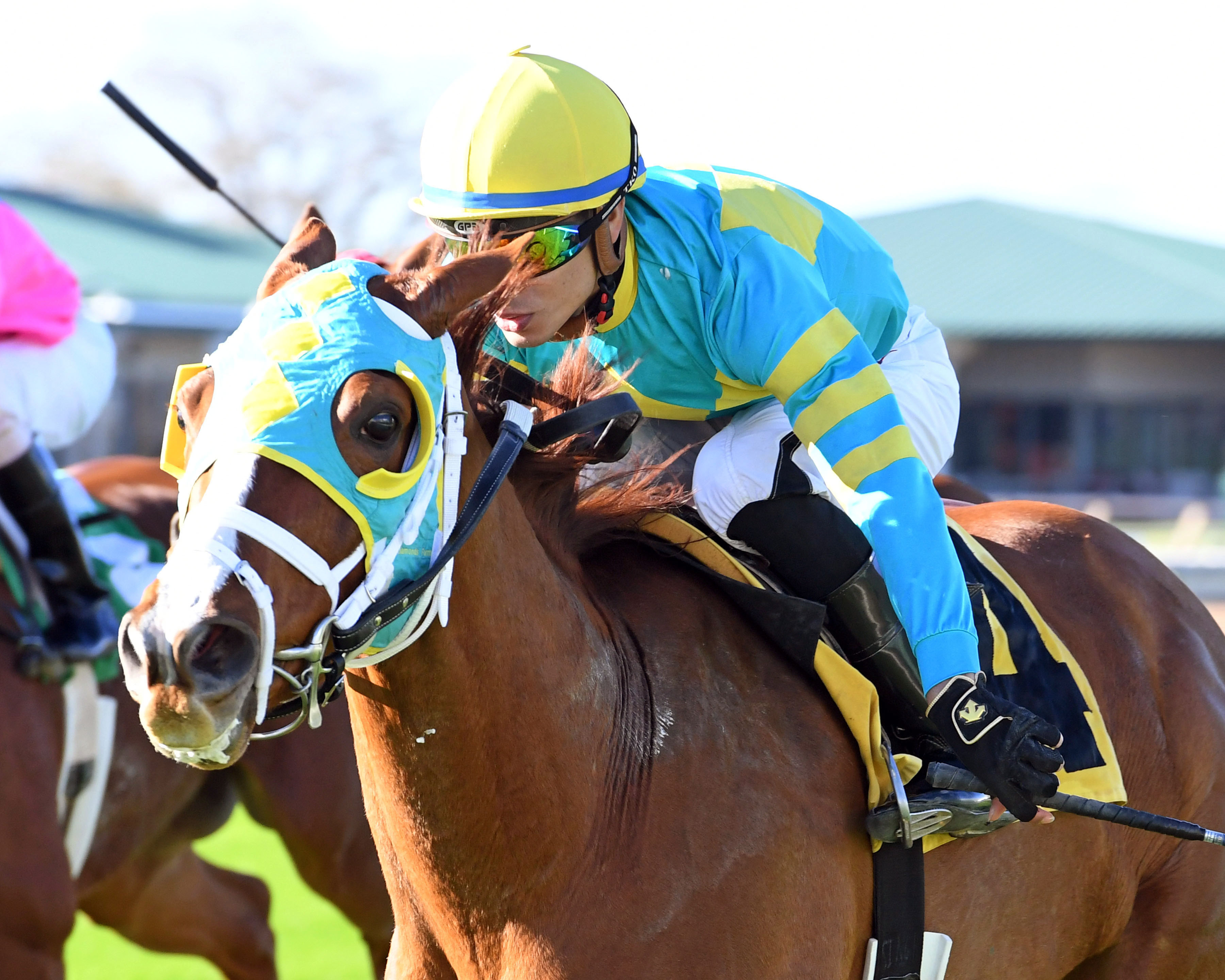 Bigger Picture wins the 2017 John B. Connally Turf Cup