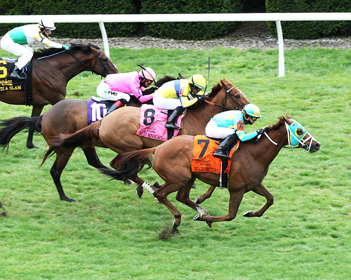 Bigger Picture wins the 2019 Elkhorn Stakes at Keeneland Racecourse
