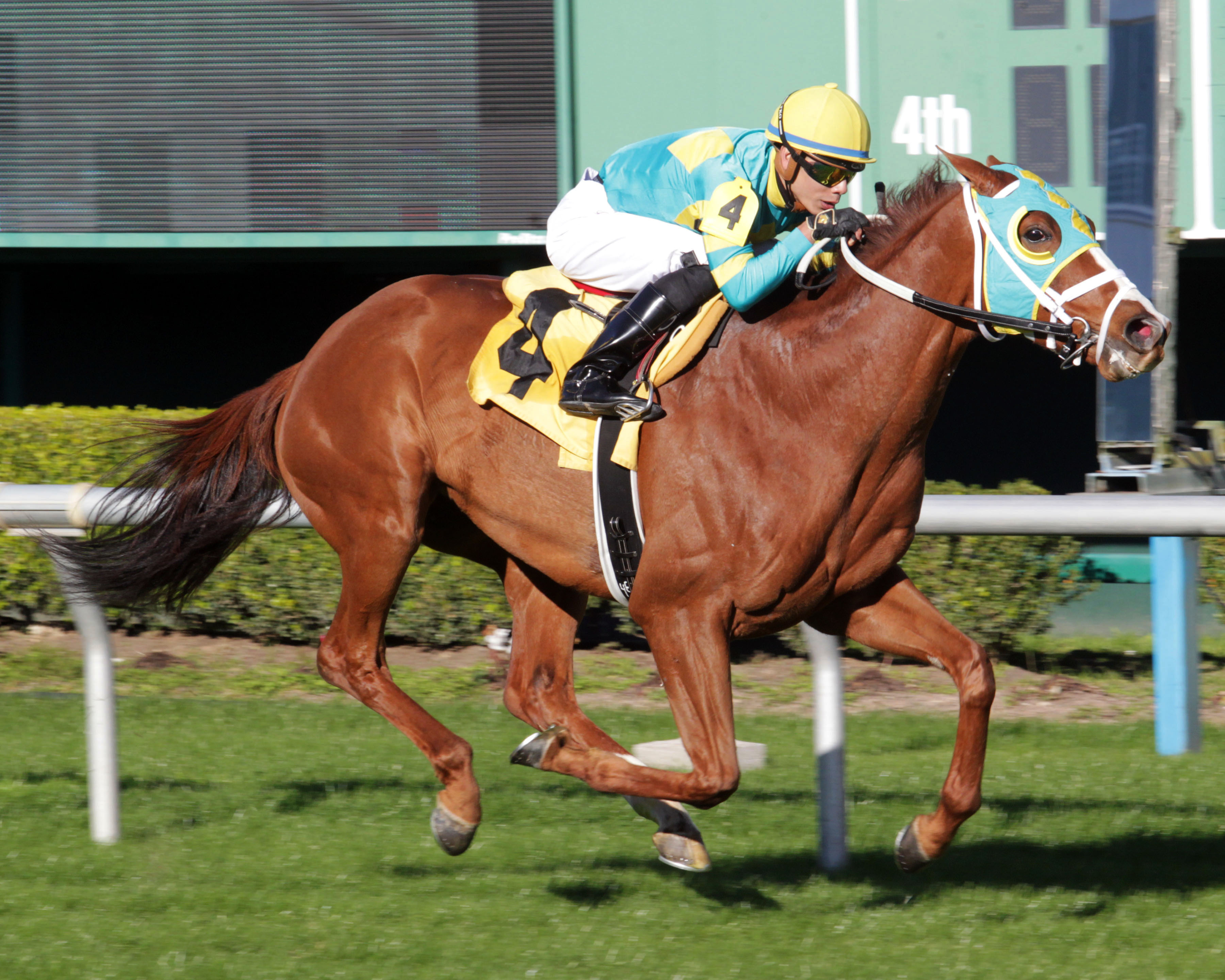 Bigger Picture wins the John B. Connally Turf Cup