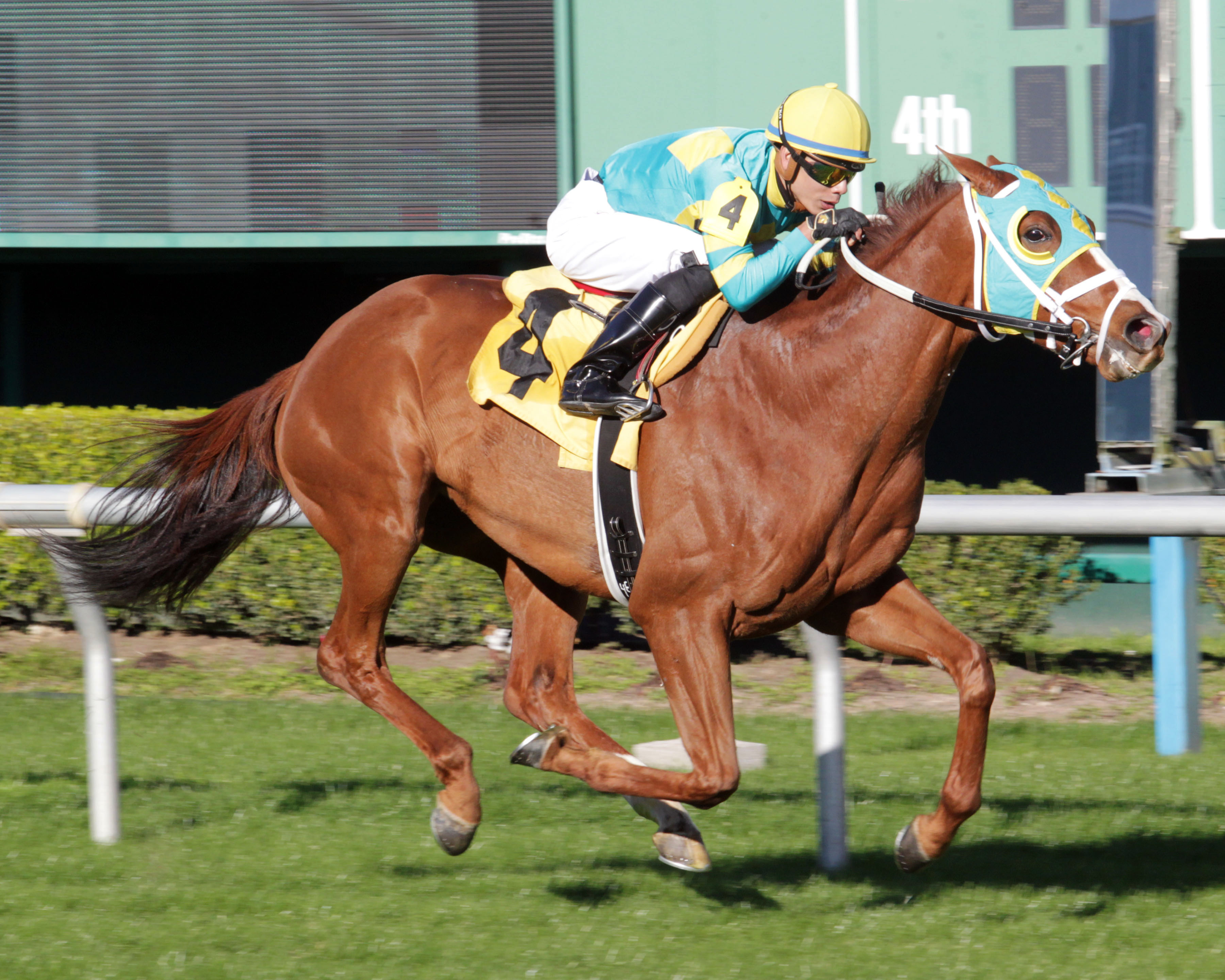 Bigger Picture wins the John B. Connally Turf Cup