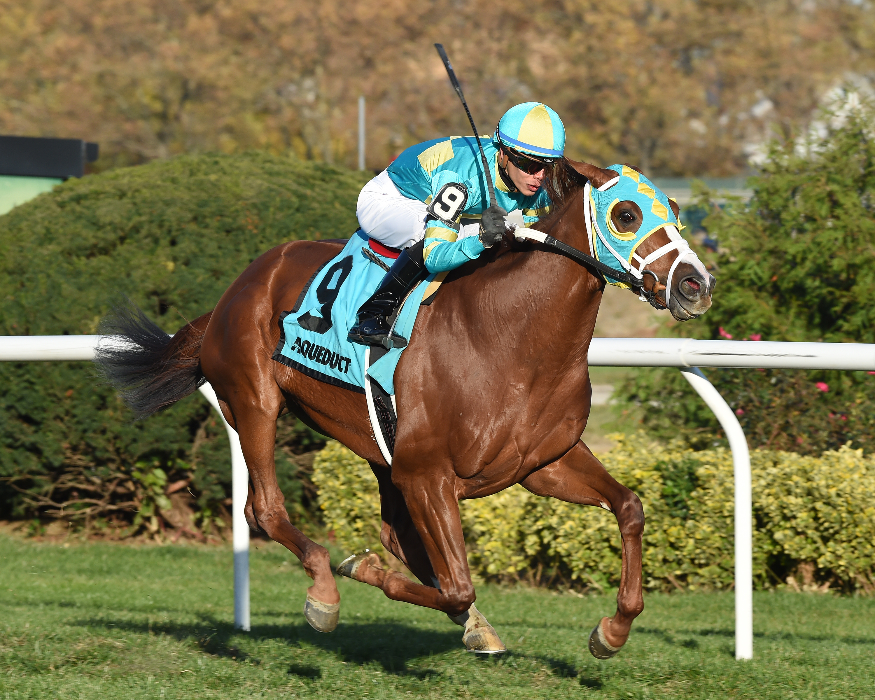 Bigger Picture wins the Red Smith