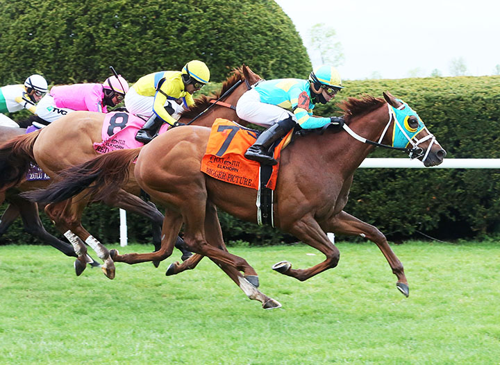 Bigger Picture wins the 2019 Elkhorn Stakes at Keeneland Racecourse