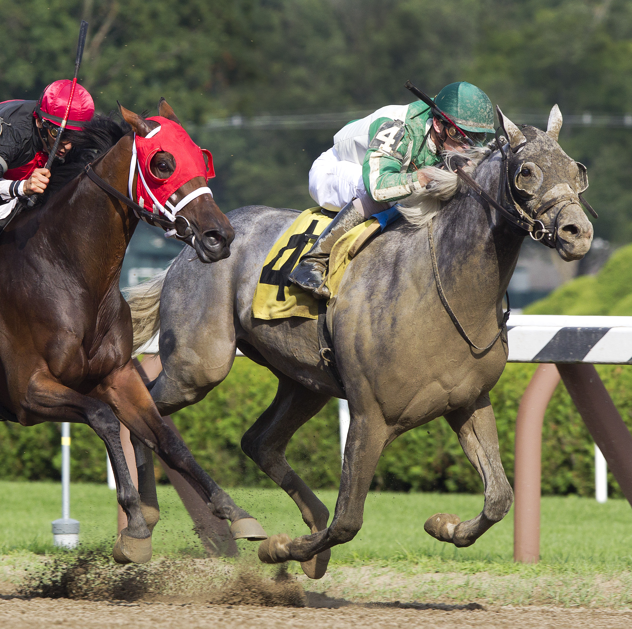 Bigger Is Bettor/Evan Shipman