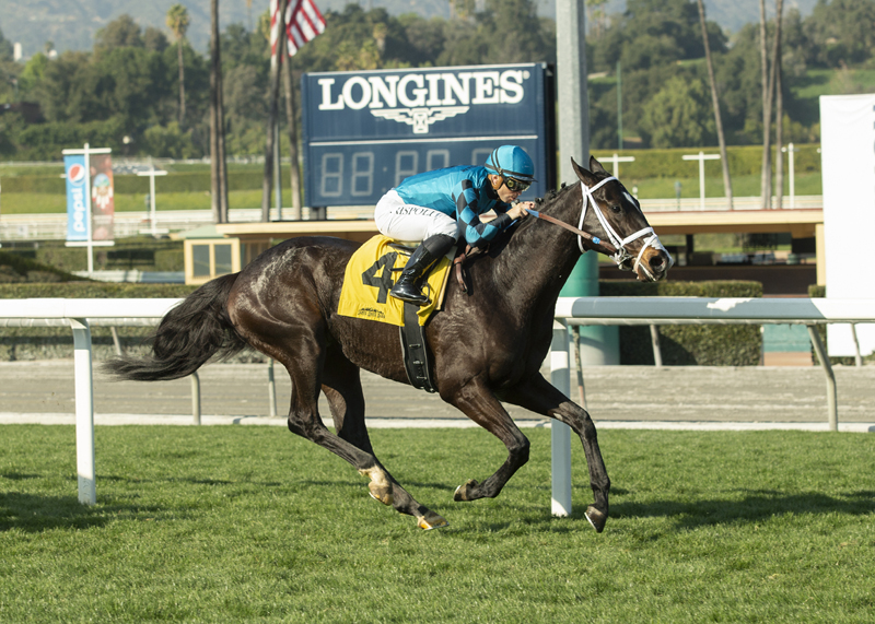 Billy Batts wins the 2020 Baffle Stakes