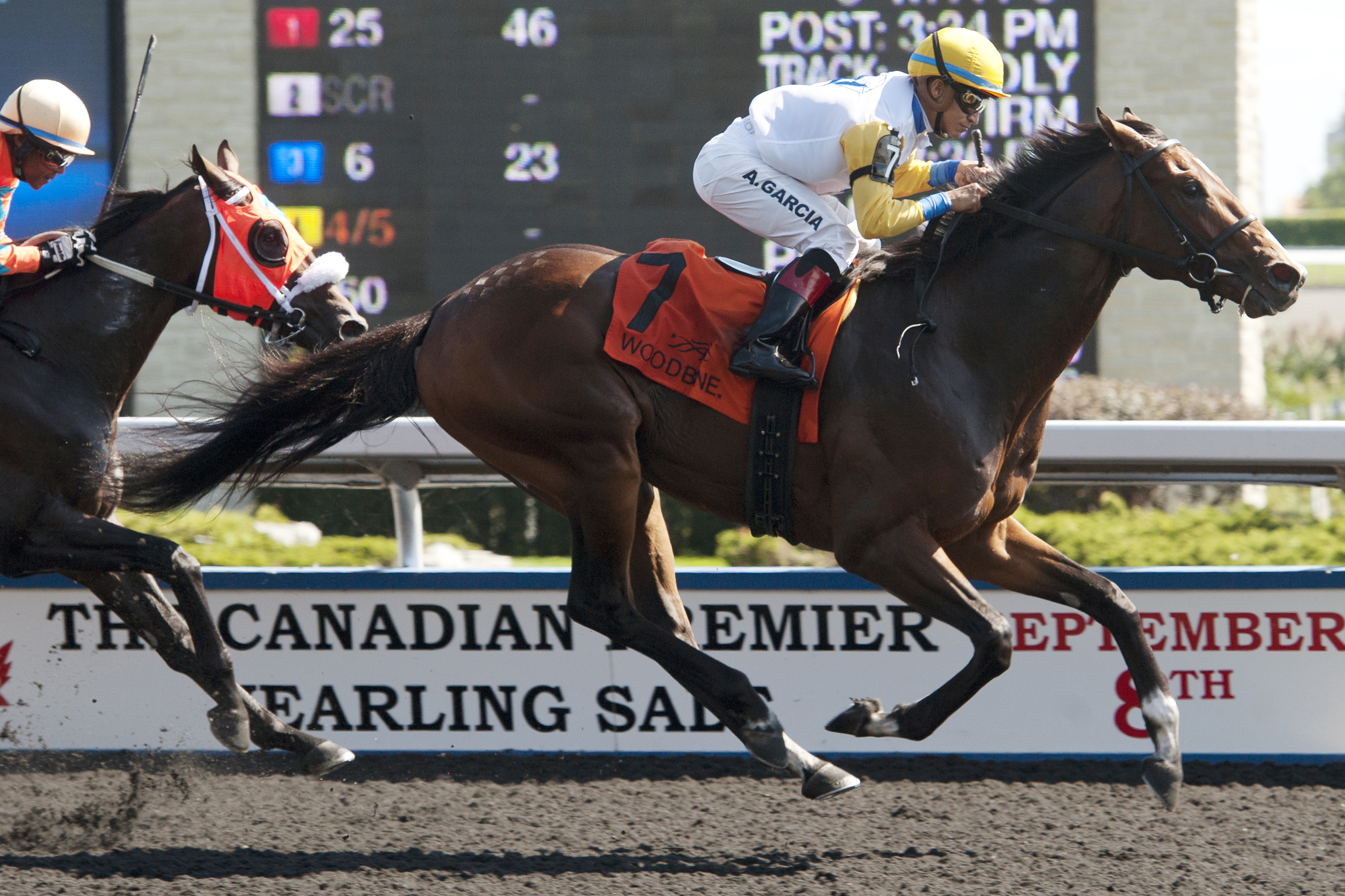 Billy's Star wins the Victoria Park Stakes