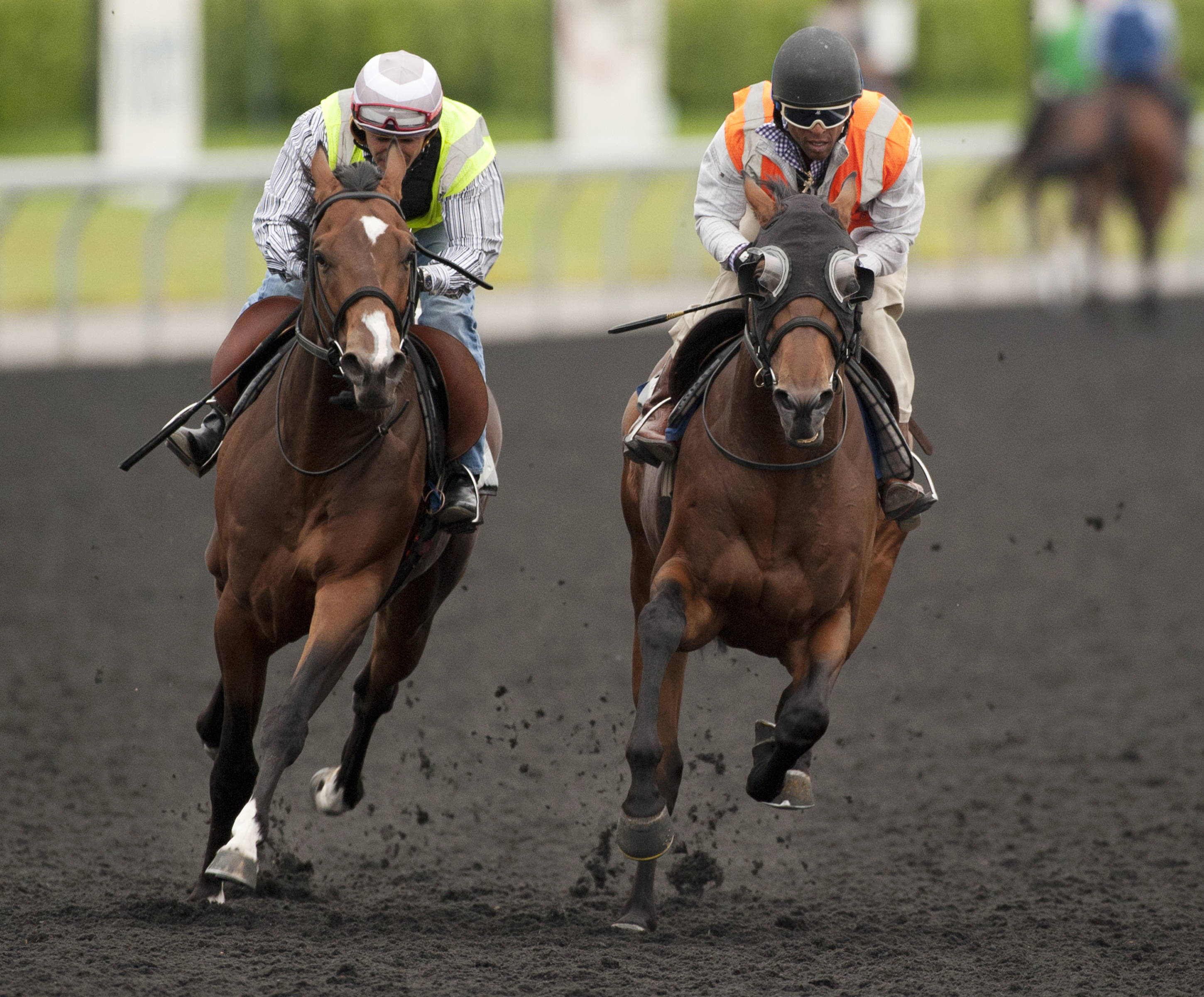 Billy's Star and Danish Dynaformer work on June 27
