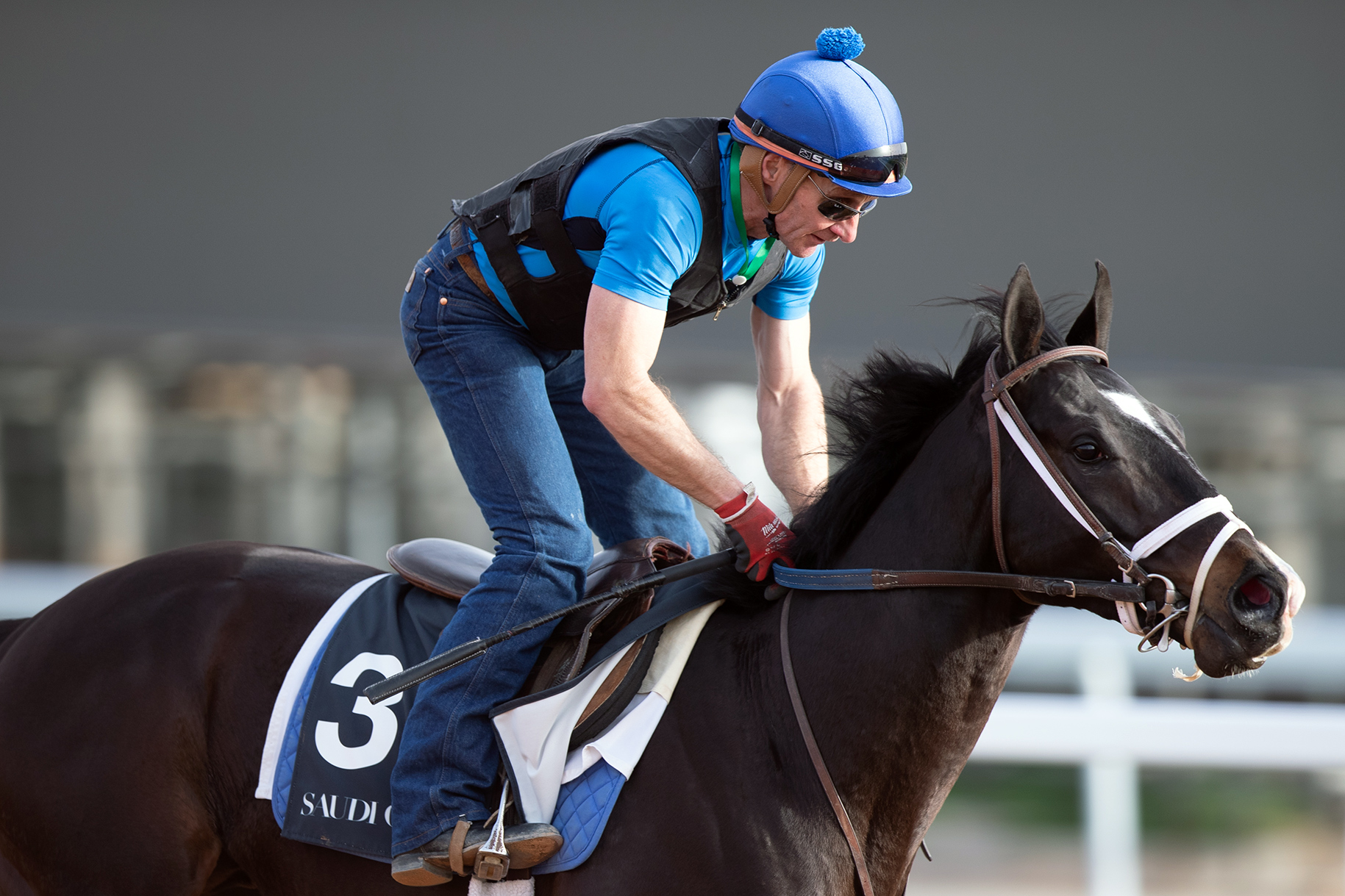 Billy Batts trains at King Abdulaziz Racetrack on Feb. 25