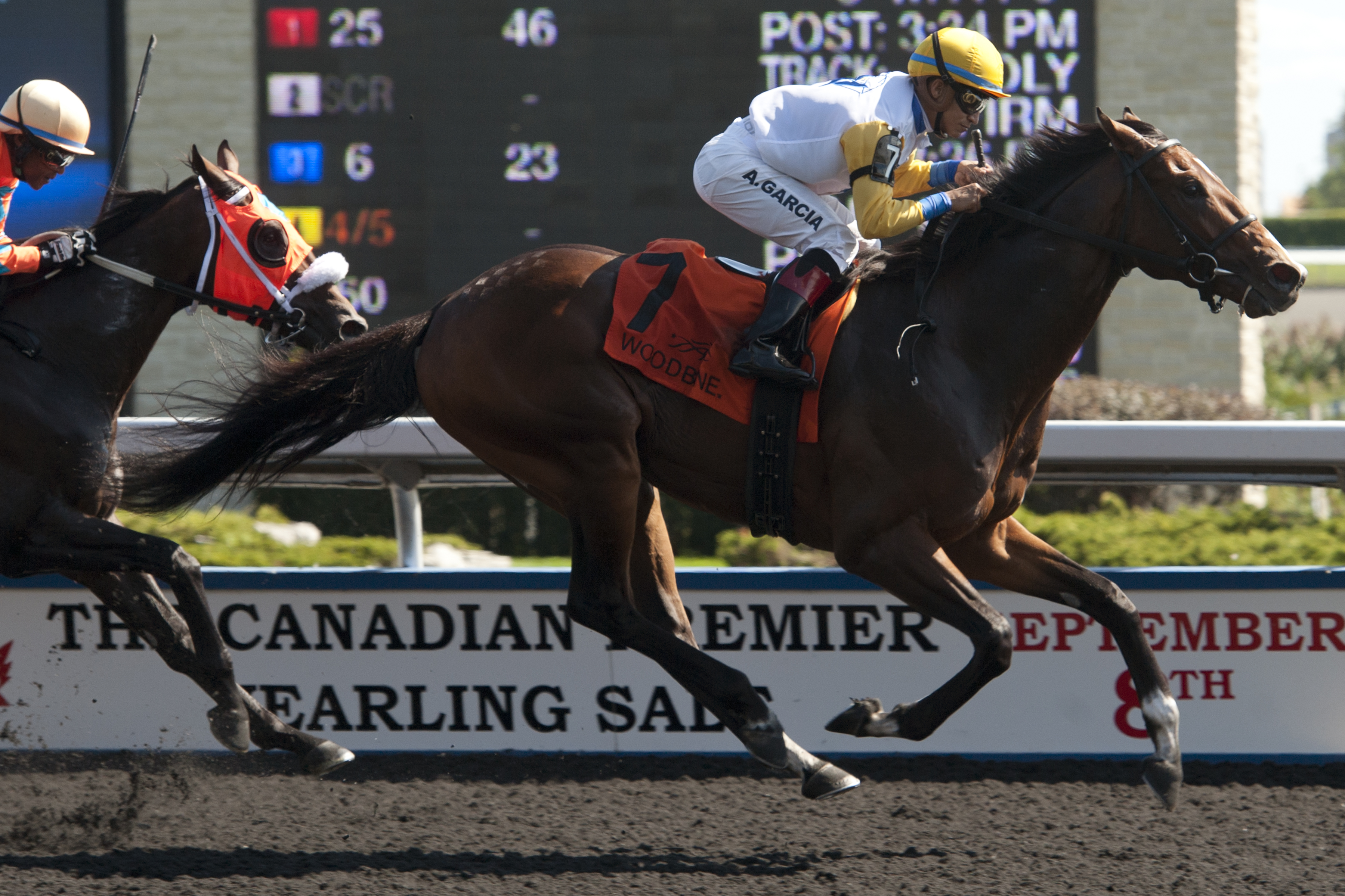 Billy's Star wins 2015 Victoria Park