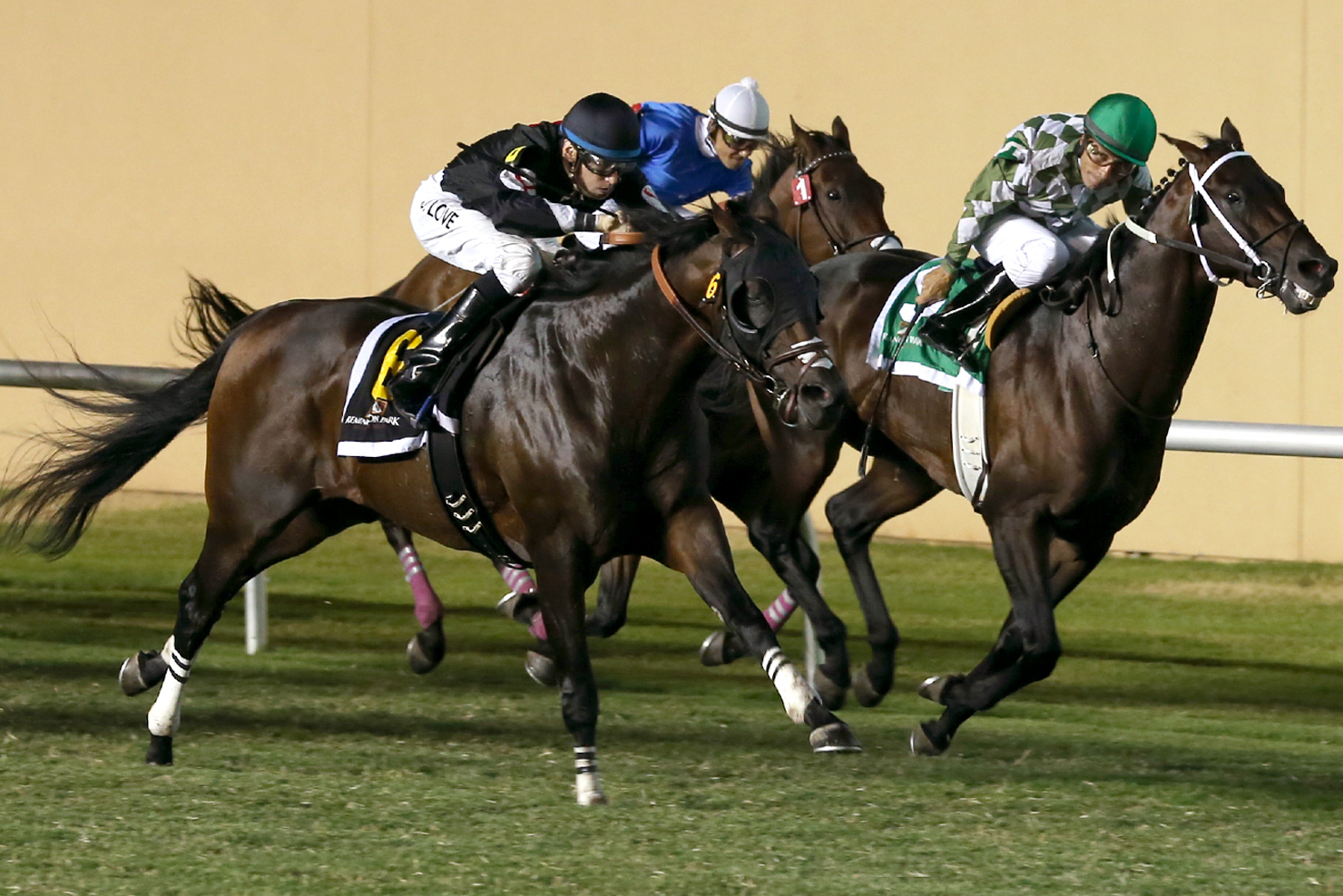 Bim Bam wins the Edward J. DeBartolo Memorial Handicap