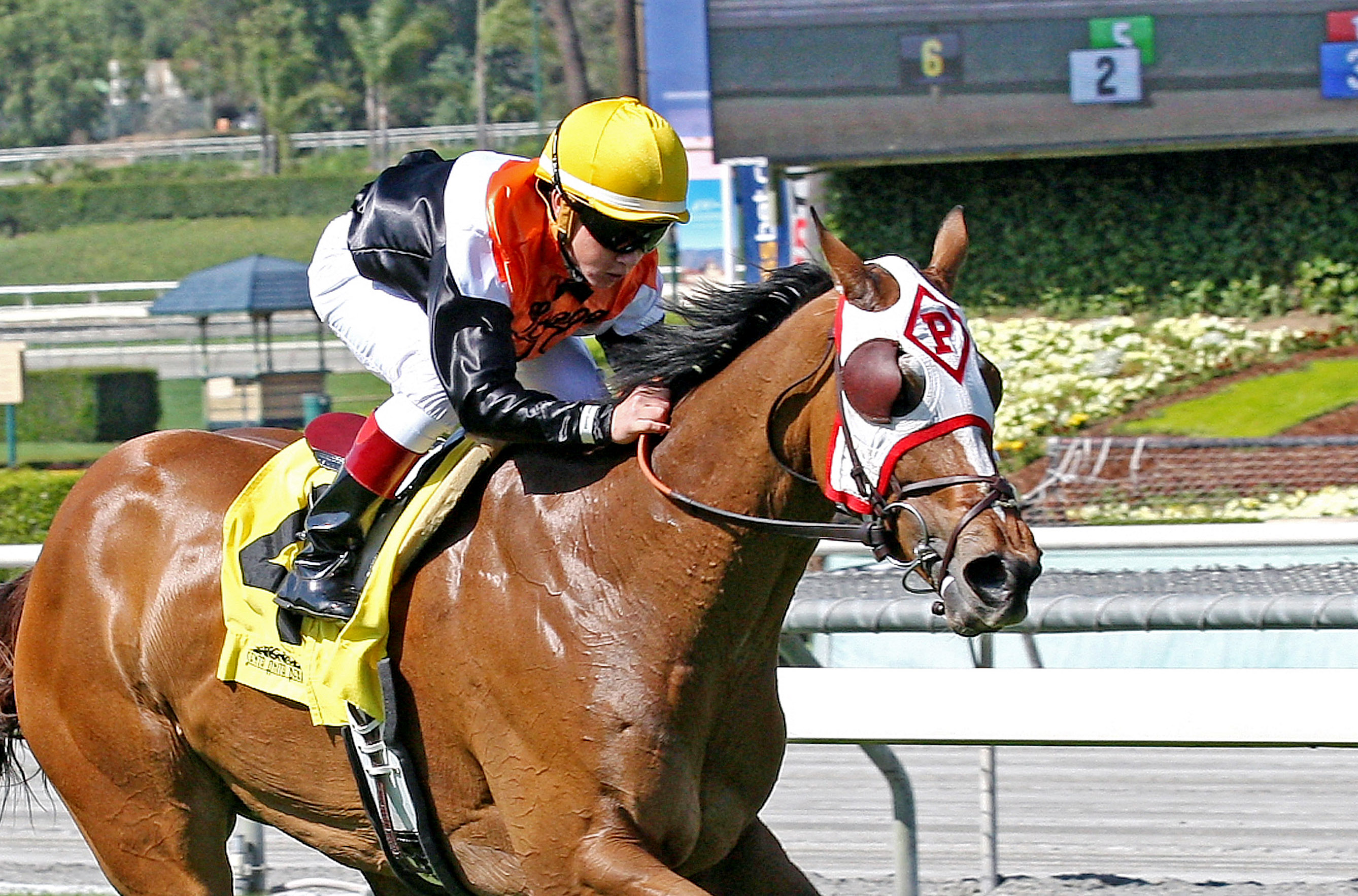 Biorhythm wins a claiming race