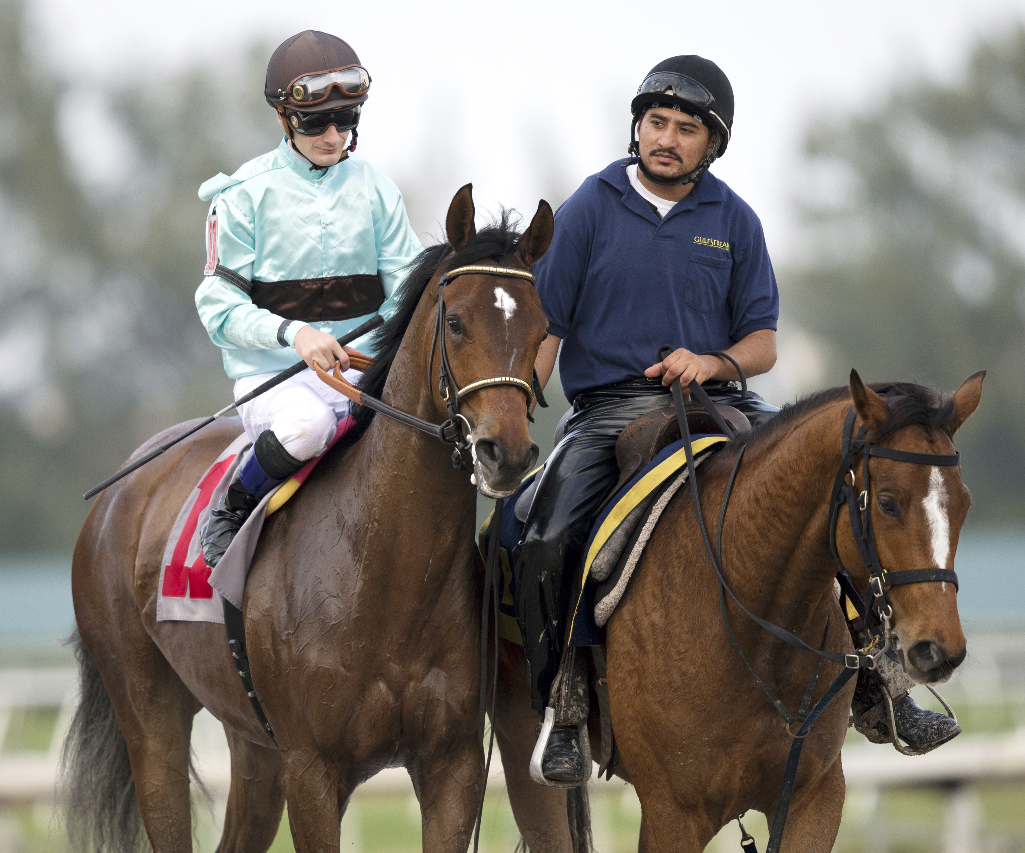 Bird Maker at an optional claiming race in 2014