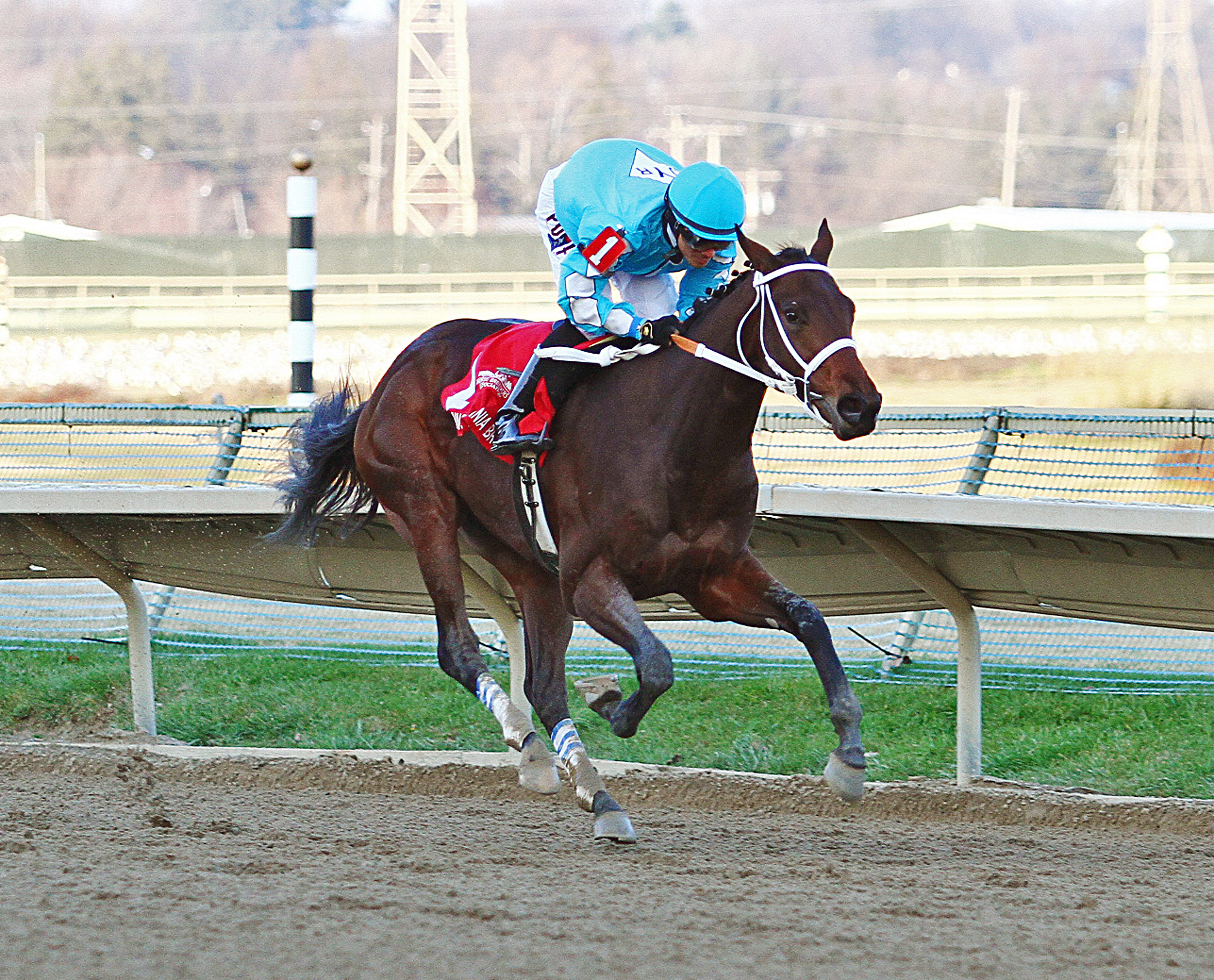 Bird of Trey wins the Pennsylvania Nursery Stakes