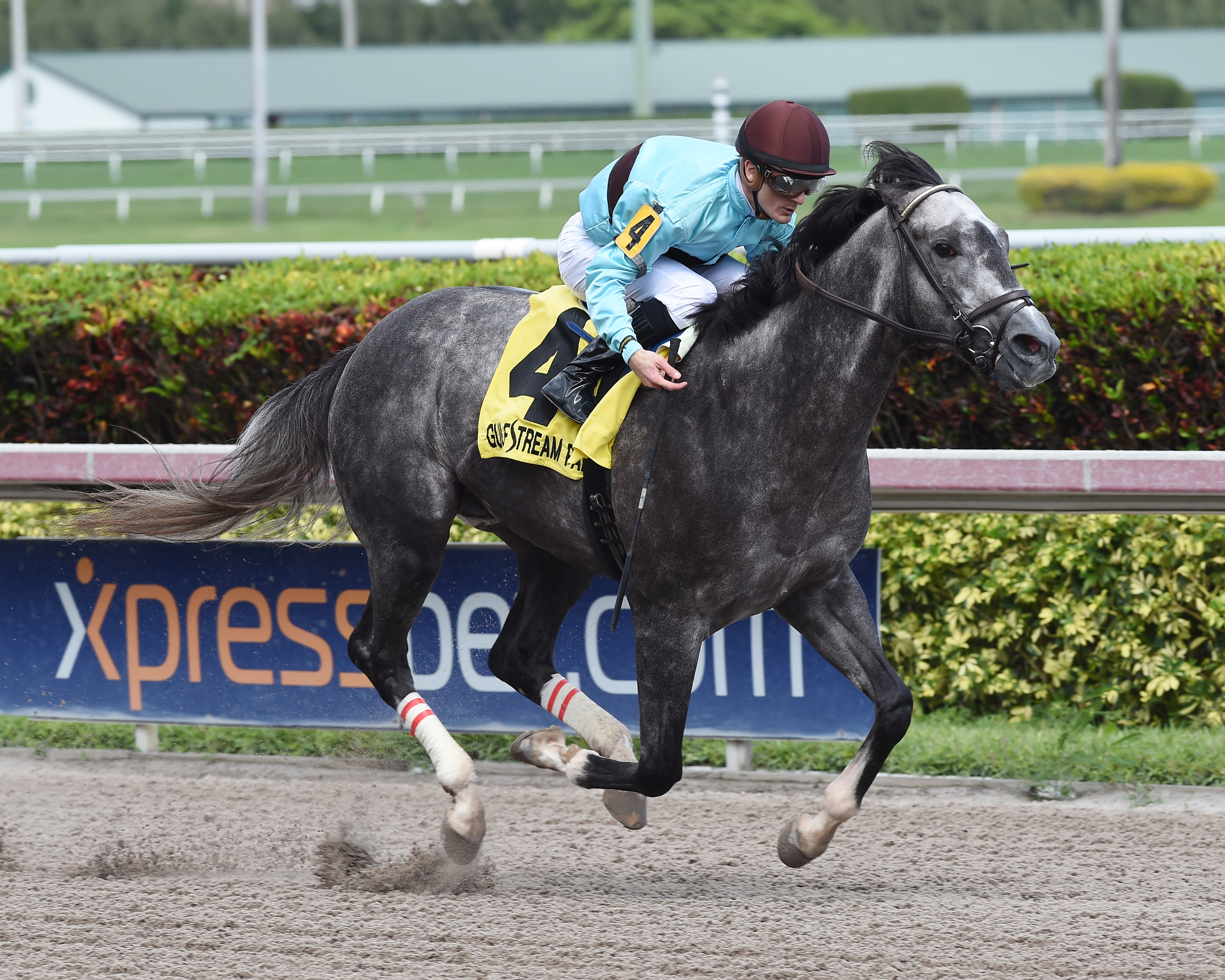 Bird Song wins the Fred W. Hooper
