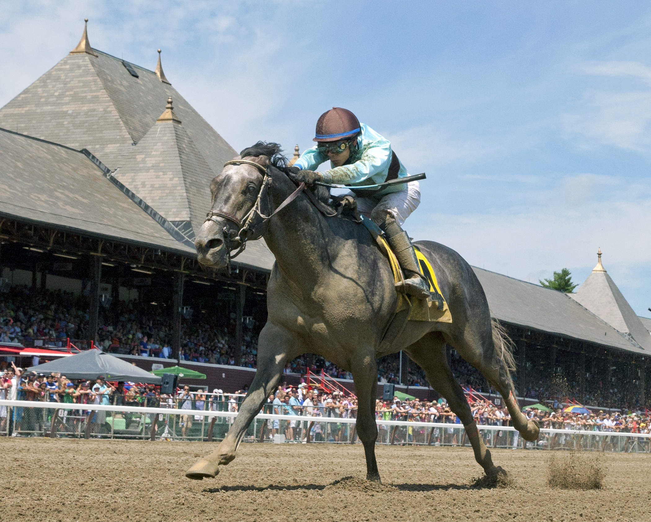 Bird Song wins a July 24 allowance race
