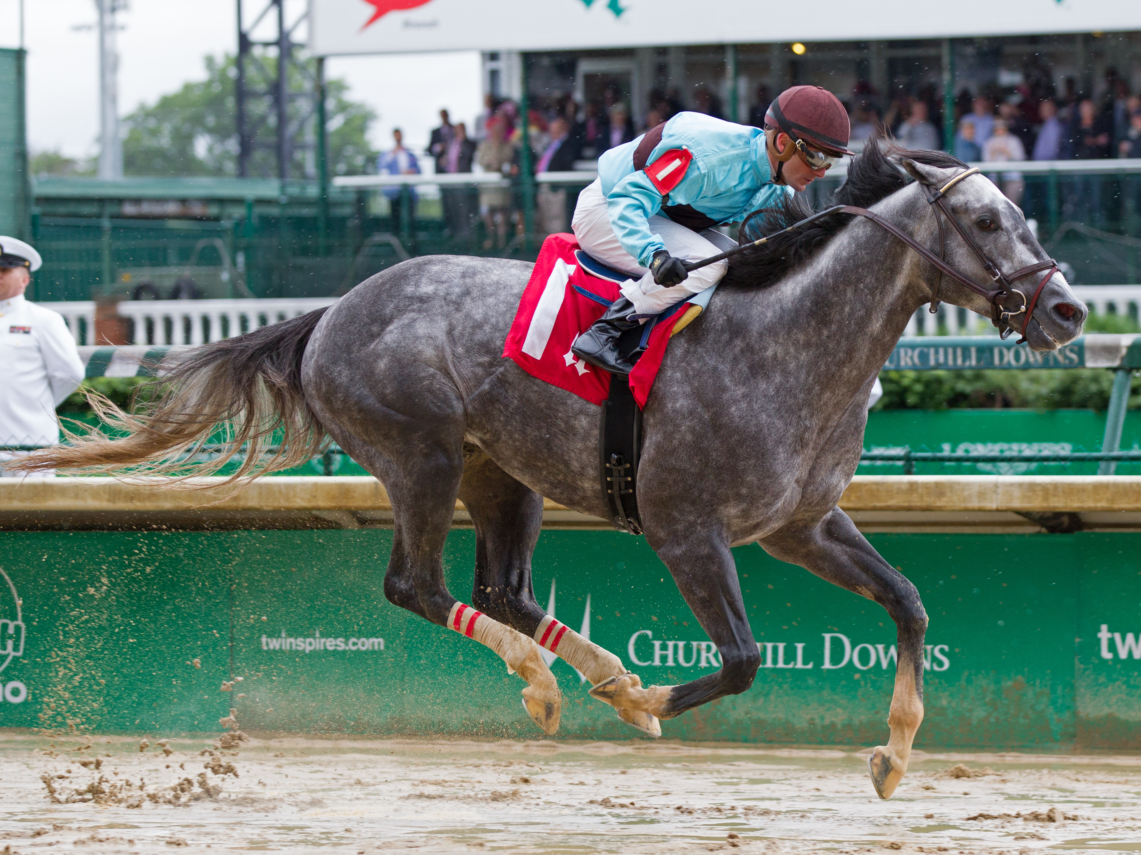 Bird Song wins the 2017 Alysheba