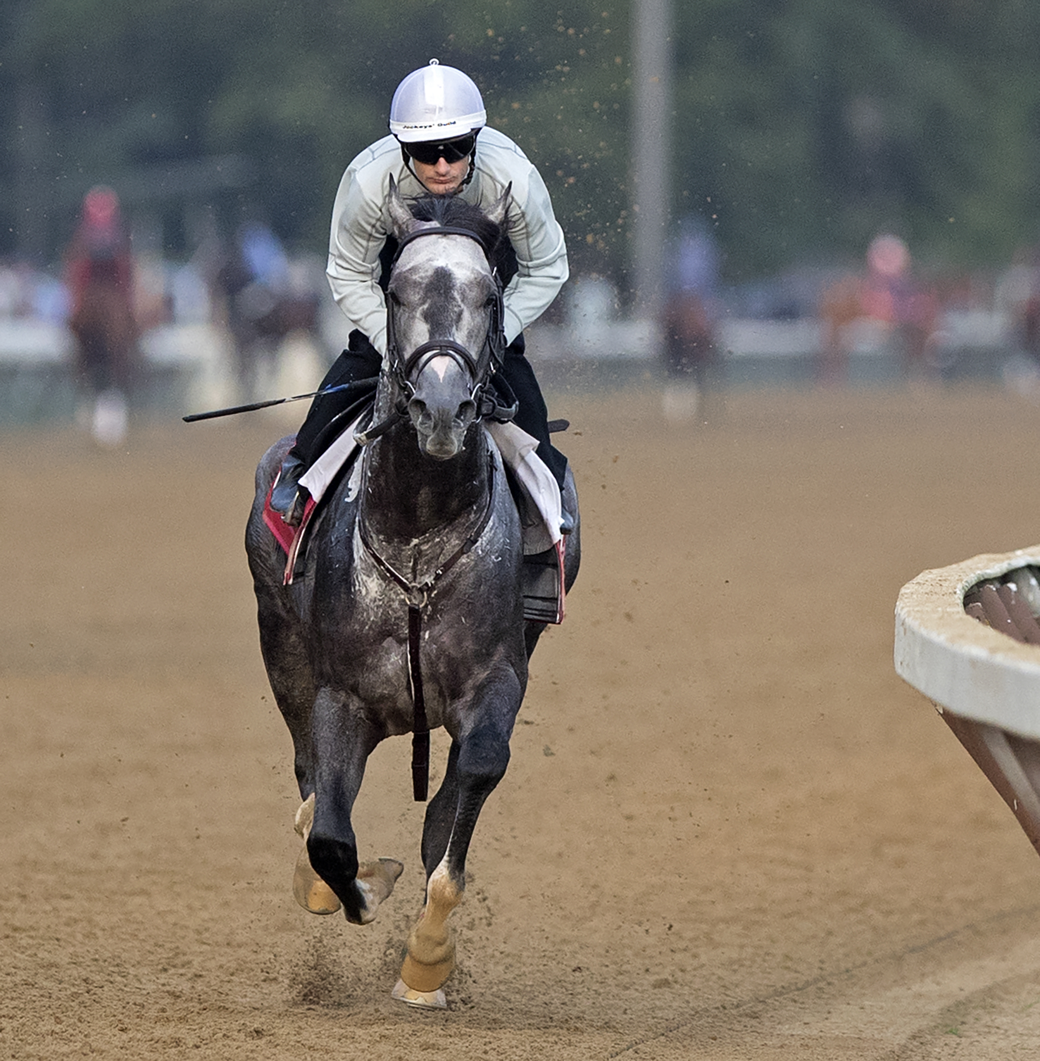 Bird Song works on the Saratoga main track 7.22.17_BL