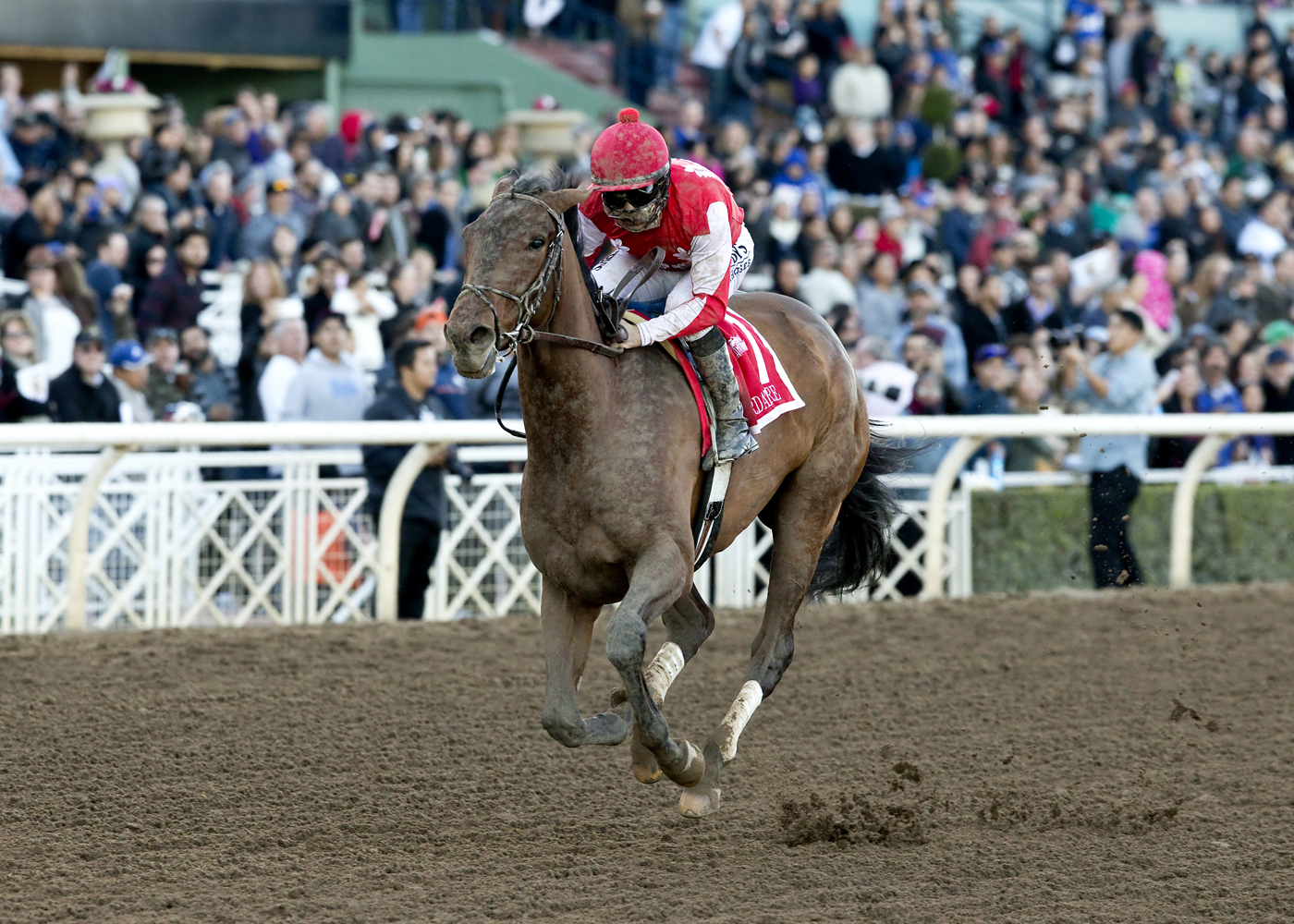 Birdatthewire wins the La Brea Stakes