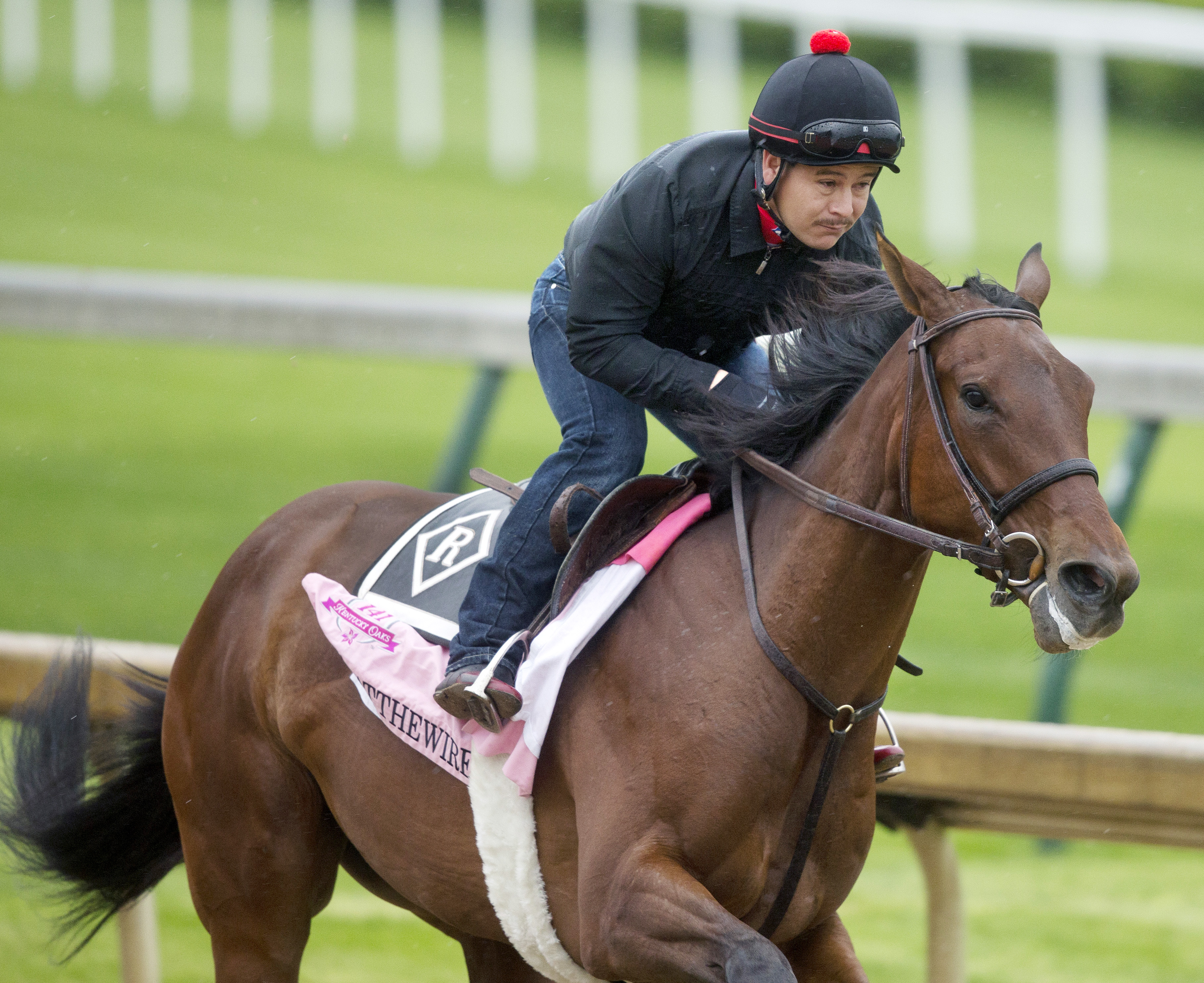 Birdatthewire trains at Churchill on April 25